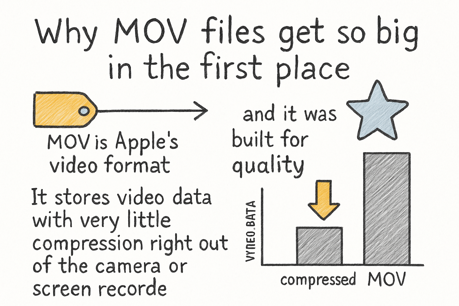 Infographic: Why MOV files get so big in the first place